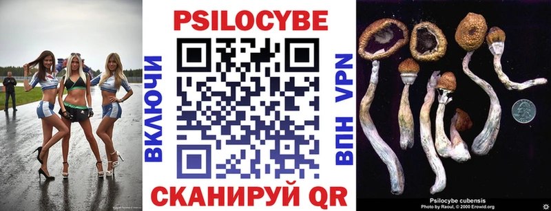 Галлюциногенные грибы GOLDEN TEACHER  Майкоп 